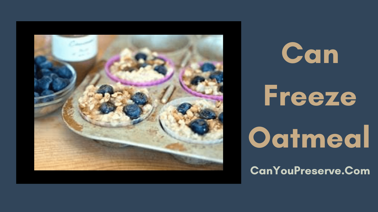 Can Freeze Oatmeal 