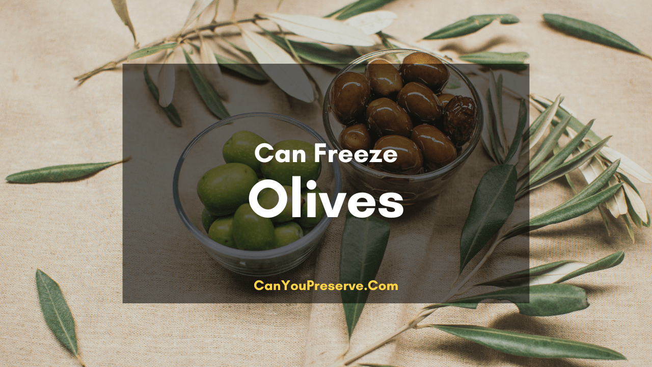 Can Freeze Olives