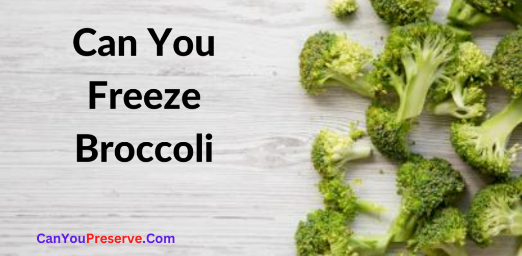 Can You Freeze Broccoli? How to Blanch and Freeze Broccoli How to
