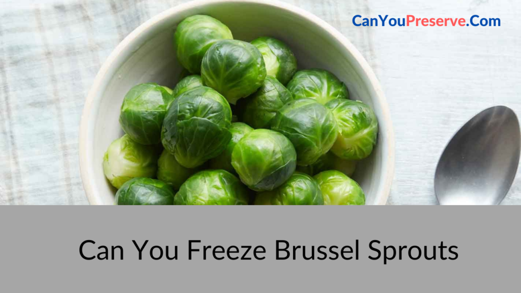 Can You Freeze Brussel Sprouts? Creative Ways to Freeze Brussel