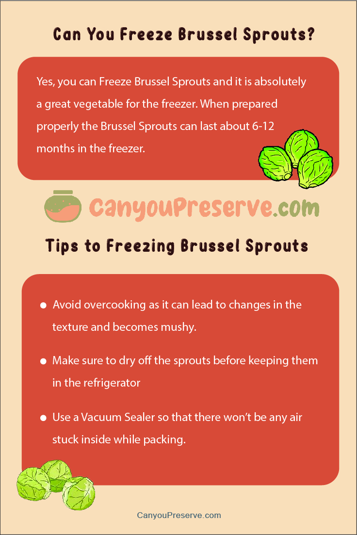 Can You Freeze Brussel Sprouts