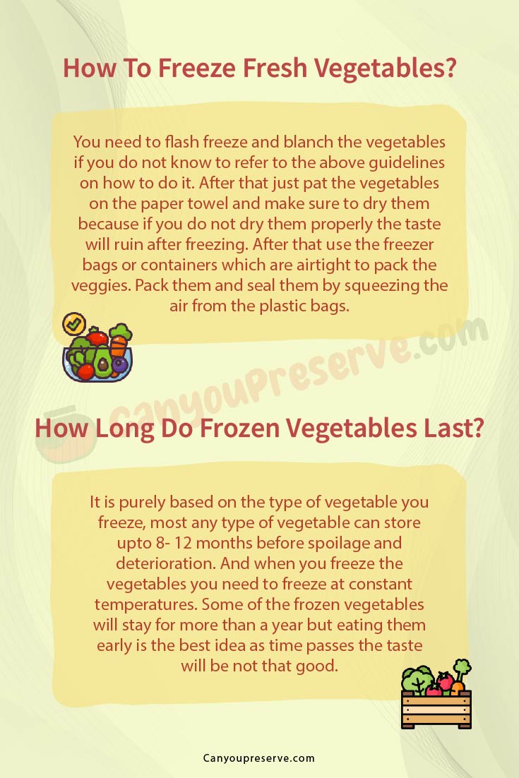 Can You Freeze Fresh Vegetables