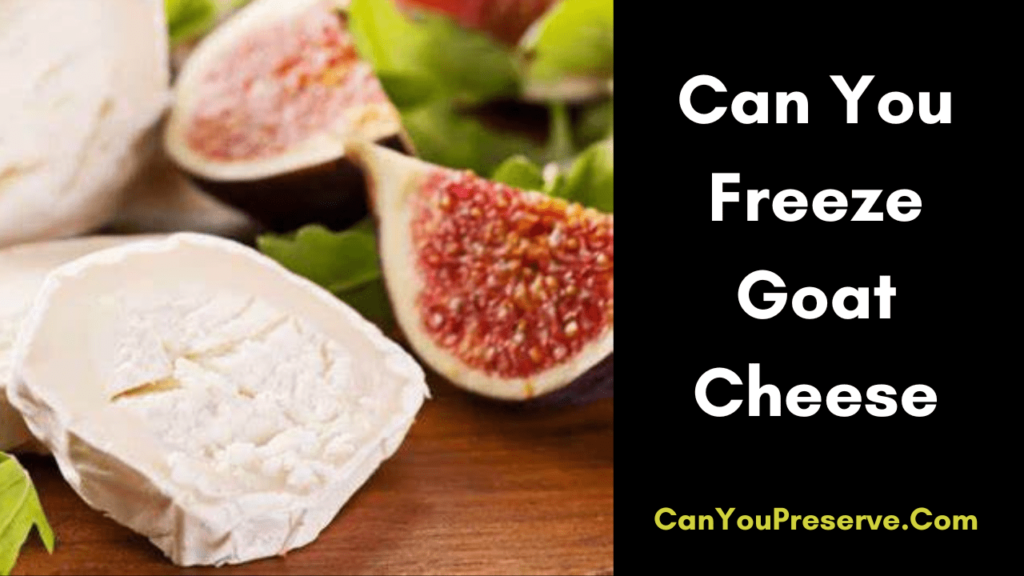 Can You Freeze Goat Cheese? A Complete Guide on Freezing Goat Cheese Can You Preserve