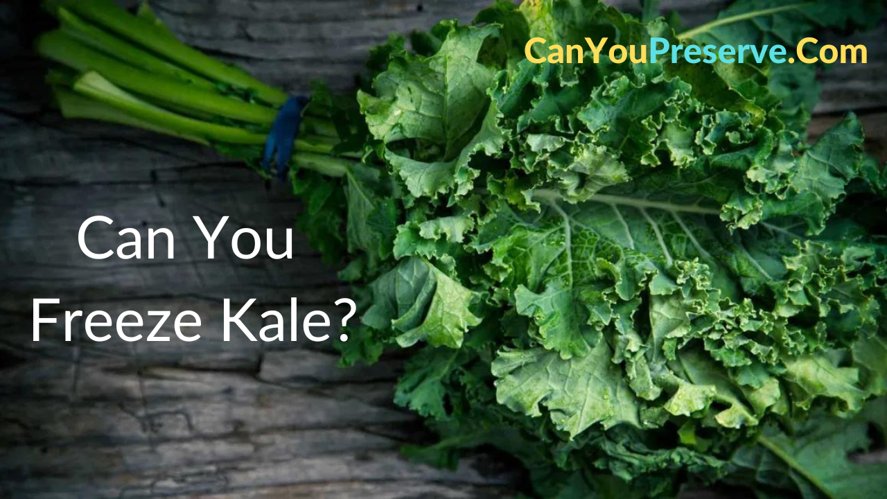 Can You Freeze Kale