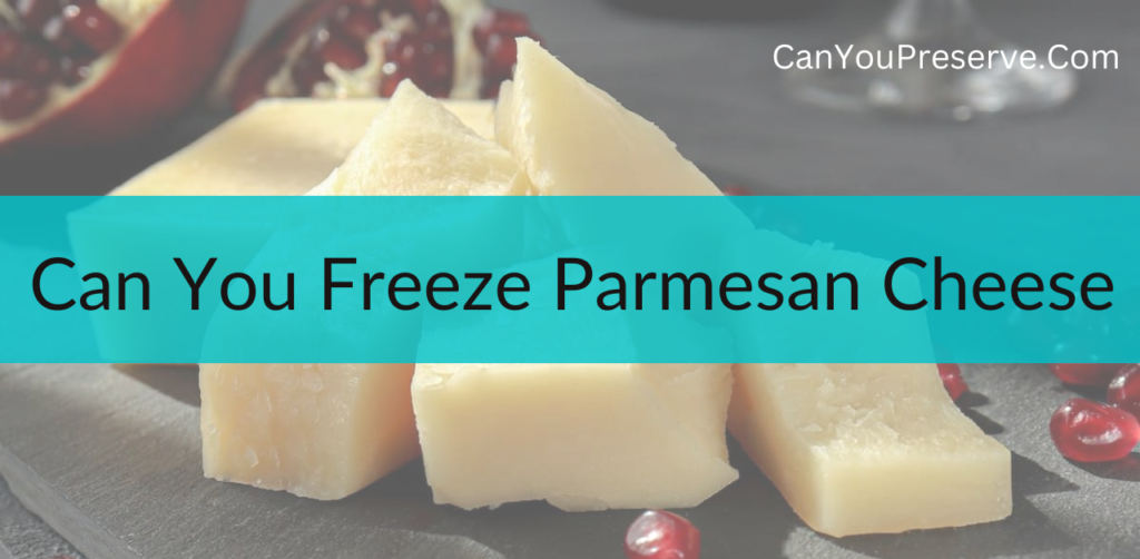 Can You Freeze Parmesan Cheese? If Yes Then How To Do It? Explore How To Store Parmesan Cheese