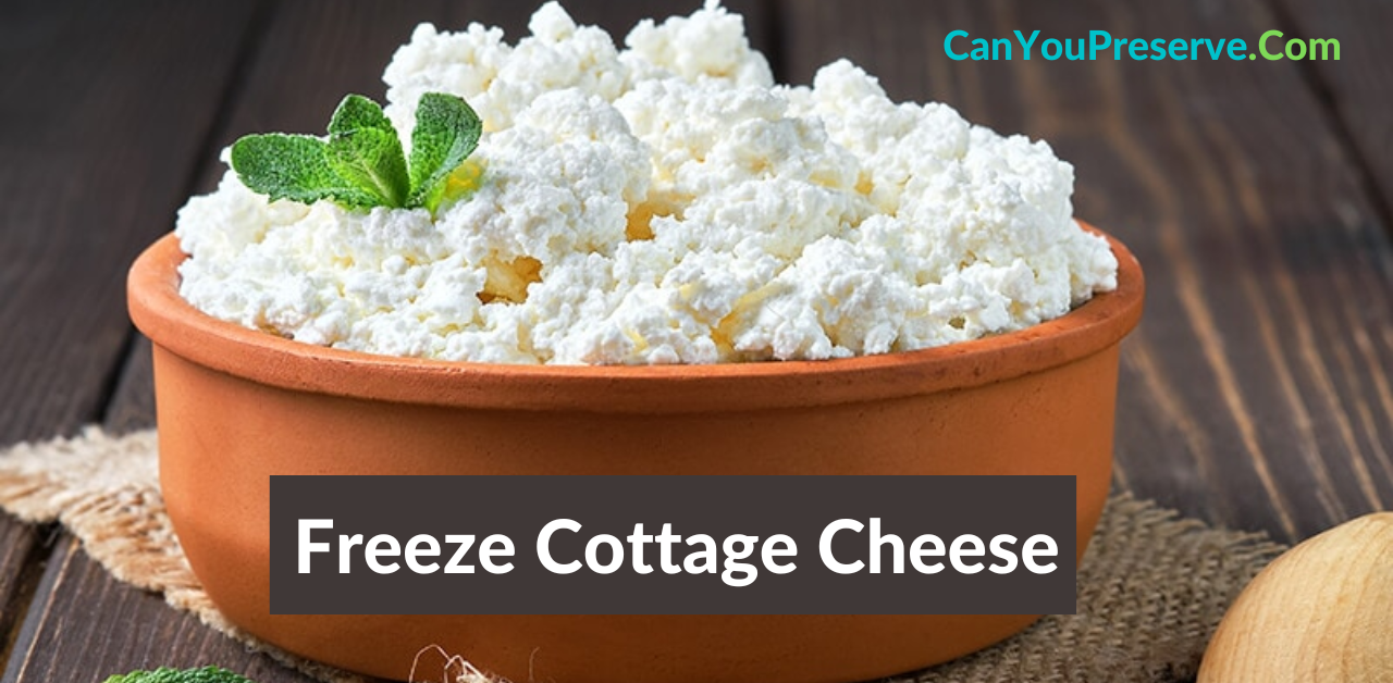 Freeze Cottage Cheese