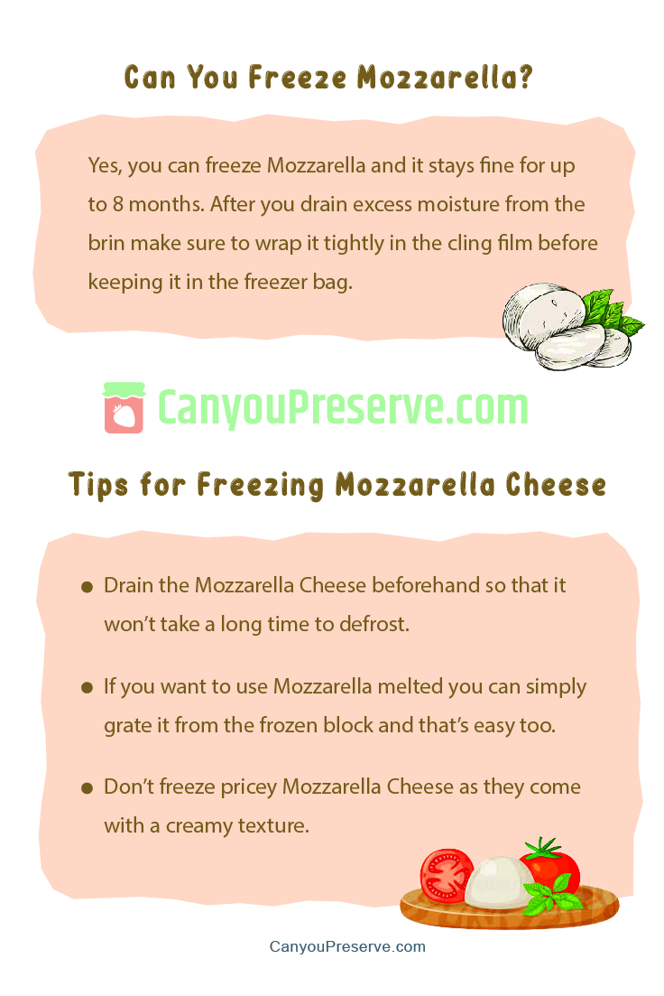 Freeze Mozzarella Cheese