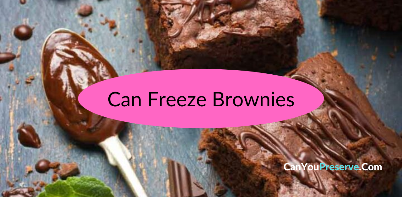 Can Freeze Brownies