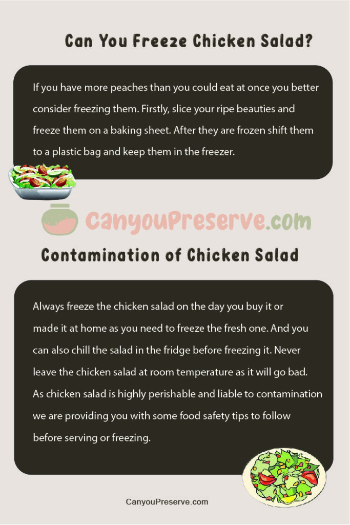 Can Freeze Chicken Salad? Everything You Should Know Before Freezing