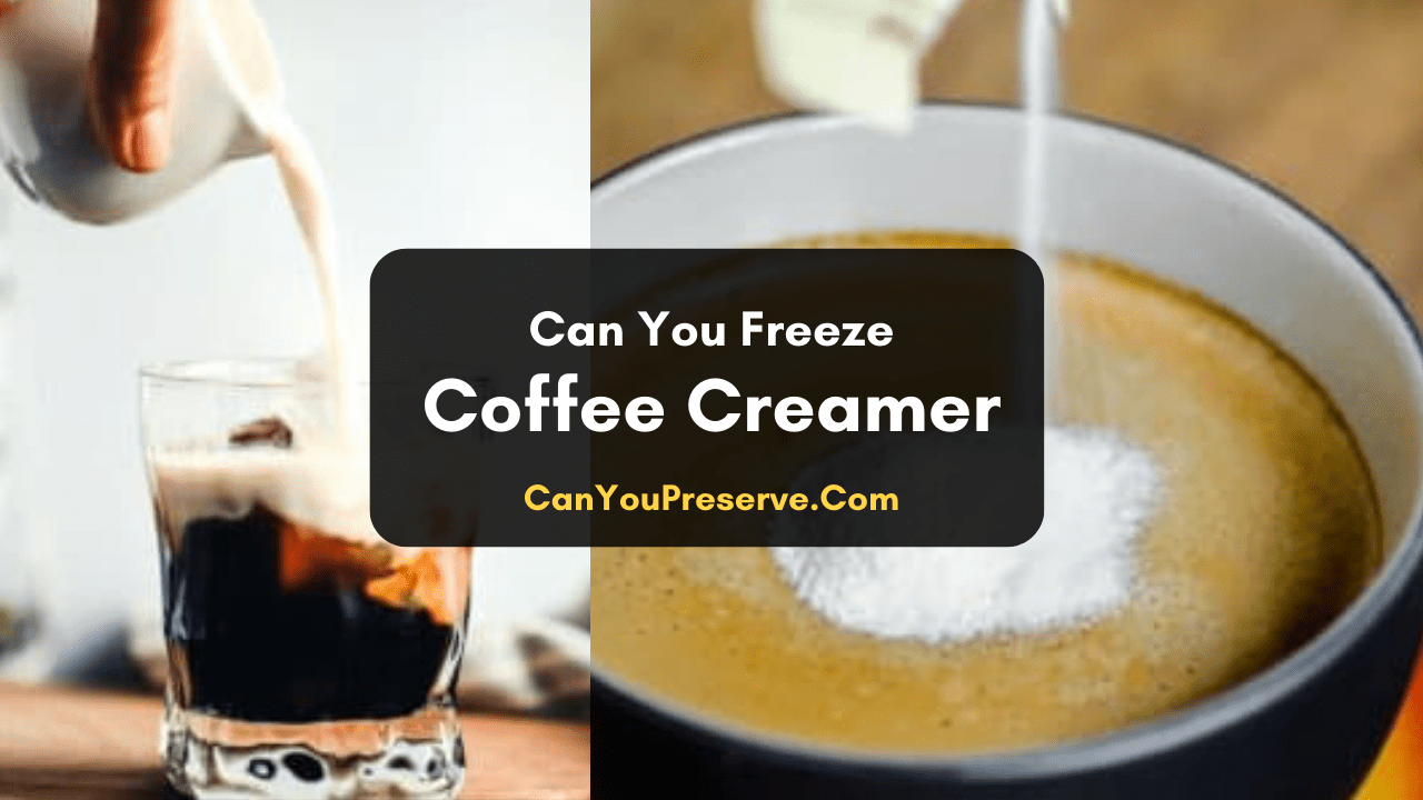 Can Freeze Coffee Creamer