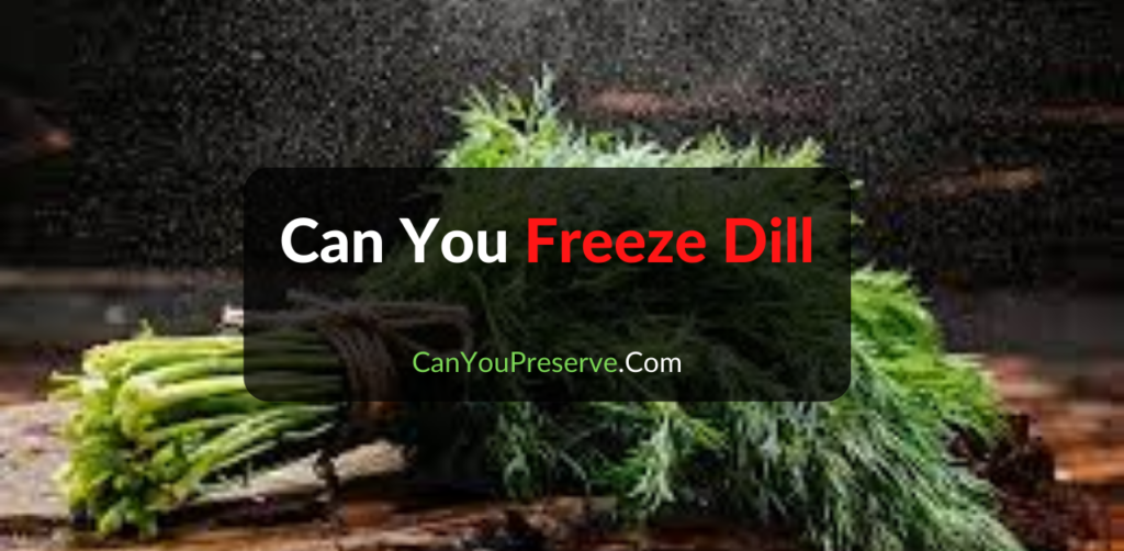 Can Freeze Dill? How To Freeze, Defrost, Dill Tips & Tricks to