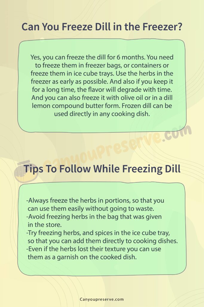 Can Freeze Dill? How To Freeze, Defrost, Dill Tips & Tricks to