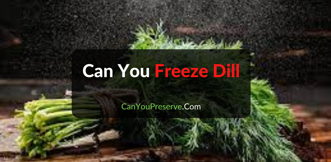 Can Freeze Dill