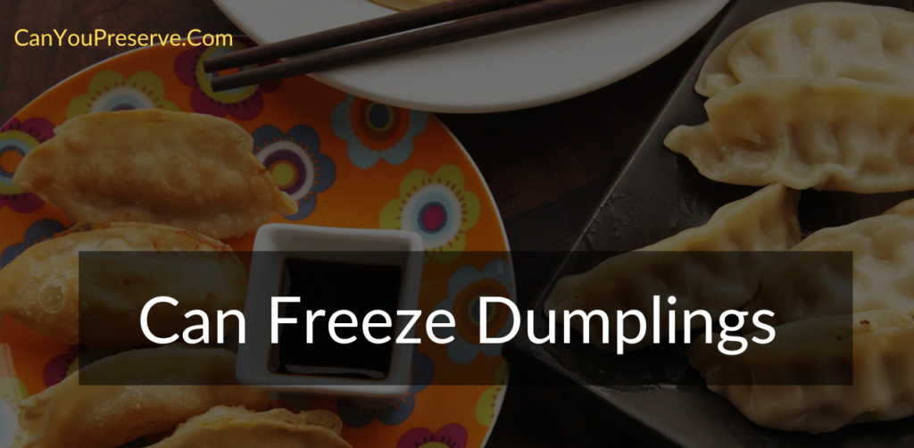 Can Freeze Dumplings? Tips To Follow While Freezing Dumplings Can