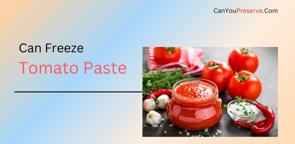 Can Freeze Tomato Paste After Opening? 10 Tips to Freeze Tomato Paste