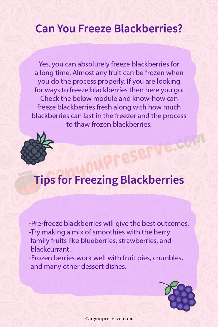 Can You Freeze Blackberries