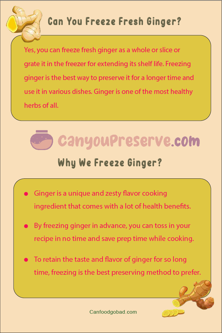 Can You Freeze Ginger