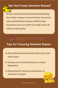 Can You Freeze Velveeta Cheese? – Everything About Freezing Velveeta