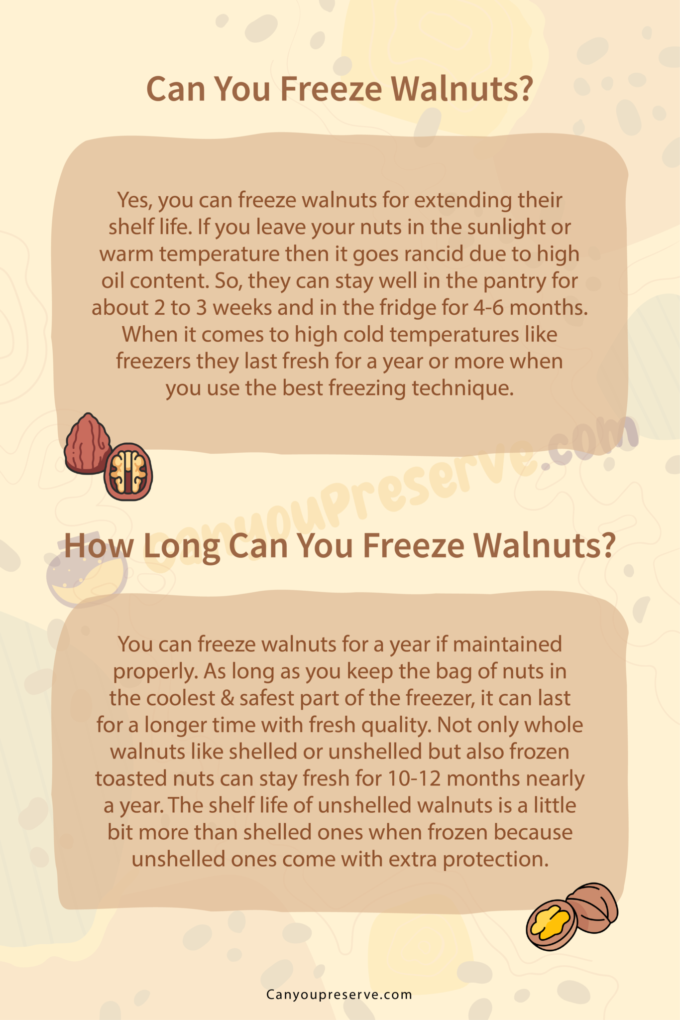 Can freeze walnuts fresh how long do walnuts last how to freeze