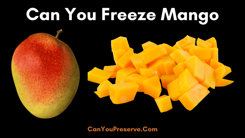 Can You Freeze Mango? StepByStep Guide on How To Freeze Mangoes