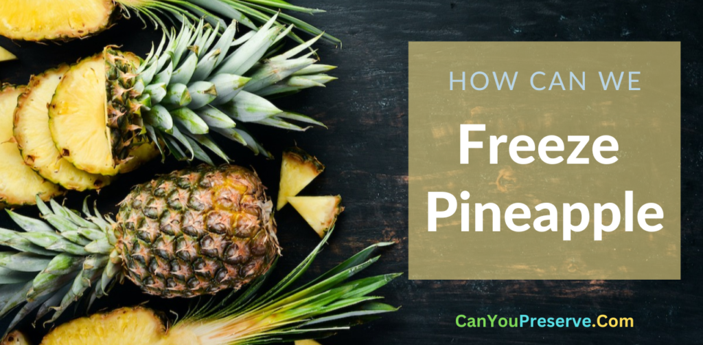 Can You Freeze Pineapple? A Simple Guide On How To Freeze Fresh