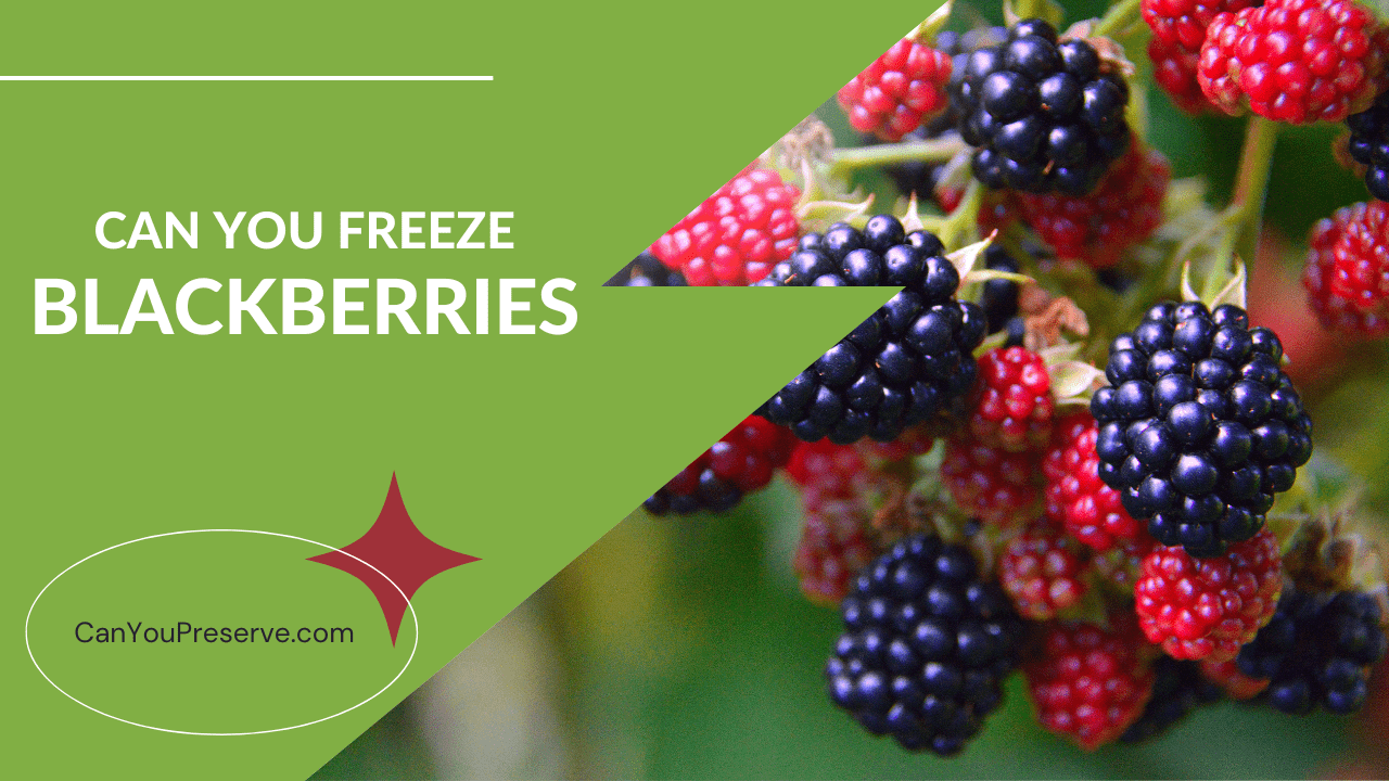 can you freeze blackberries