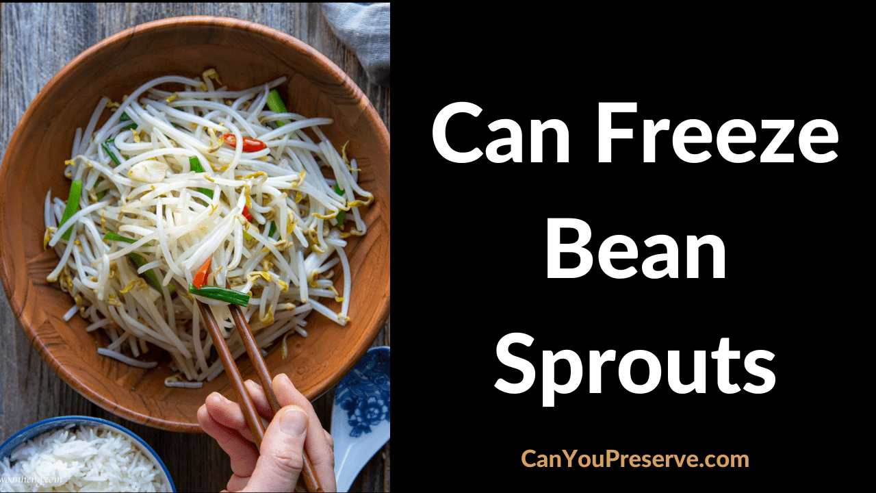 Can Freeze Bean Sprouts