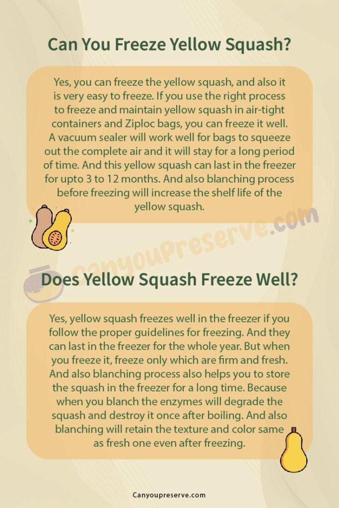 Can Freeze Yellow Squash Raw/Cooked? How to Freeze Yellow Squash