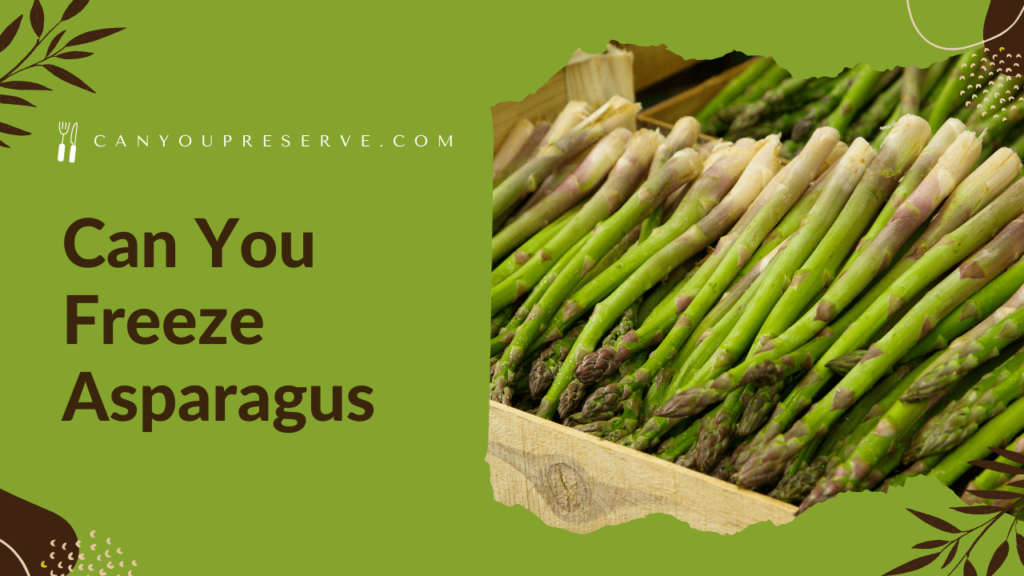 Can You Freeze Asparagus After Cooking? Complete Guide To Freeze