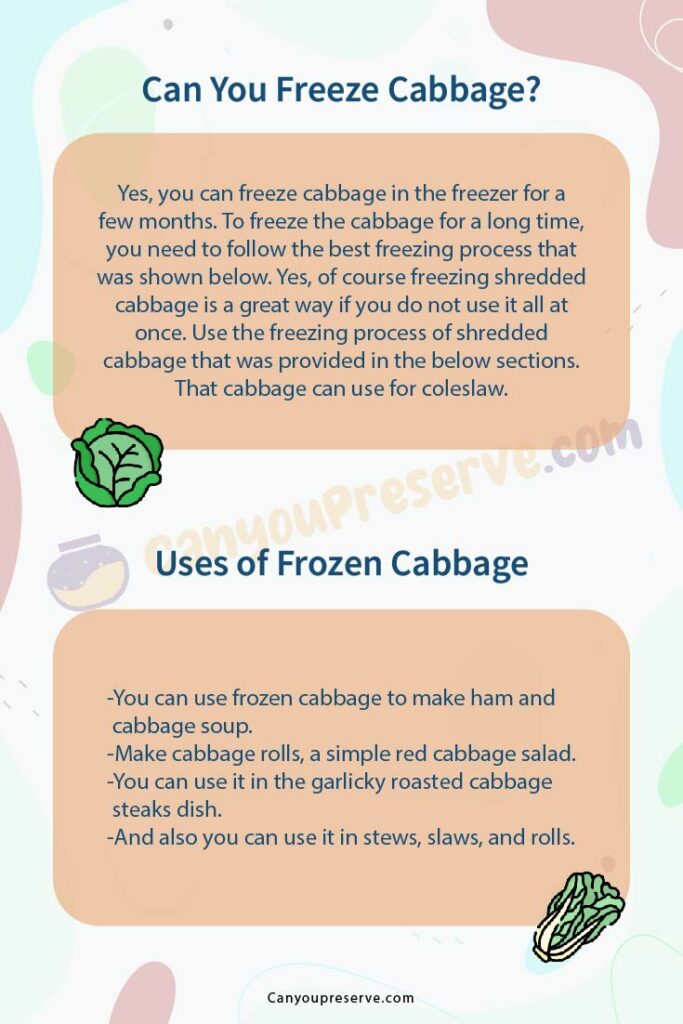 Can You Freeze Cabbage Whole/Shredded/Cooked? How To Defrost & Use