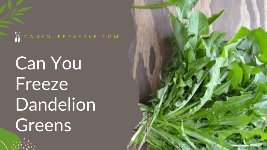 Can You Freeze Dandelion Greens? How Can You Preserve Dandelion