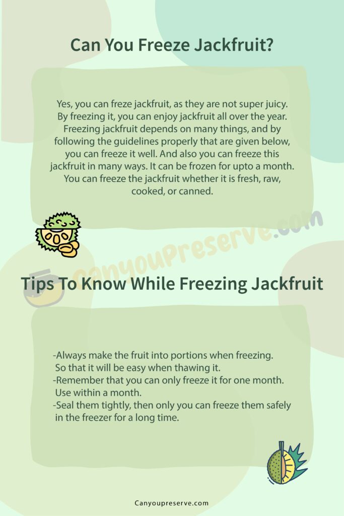 Can Freeze Jackfruit Cooked/Uncooked/Canned? How To Freeze, Defrost