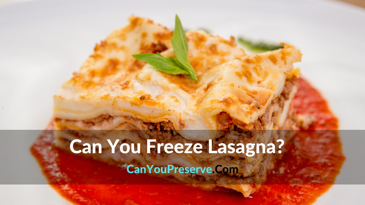 Can You Freeze Lasagna