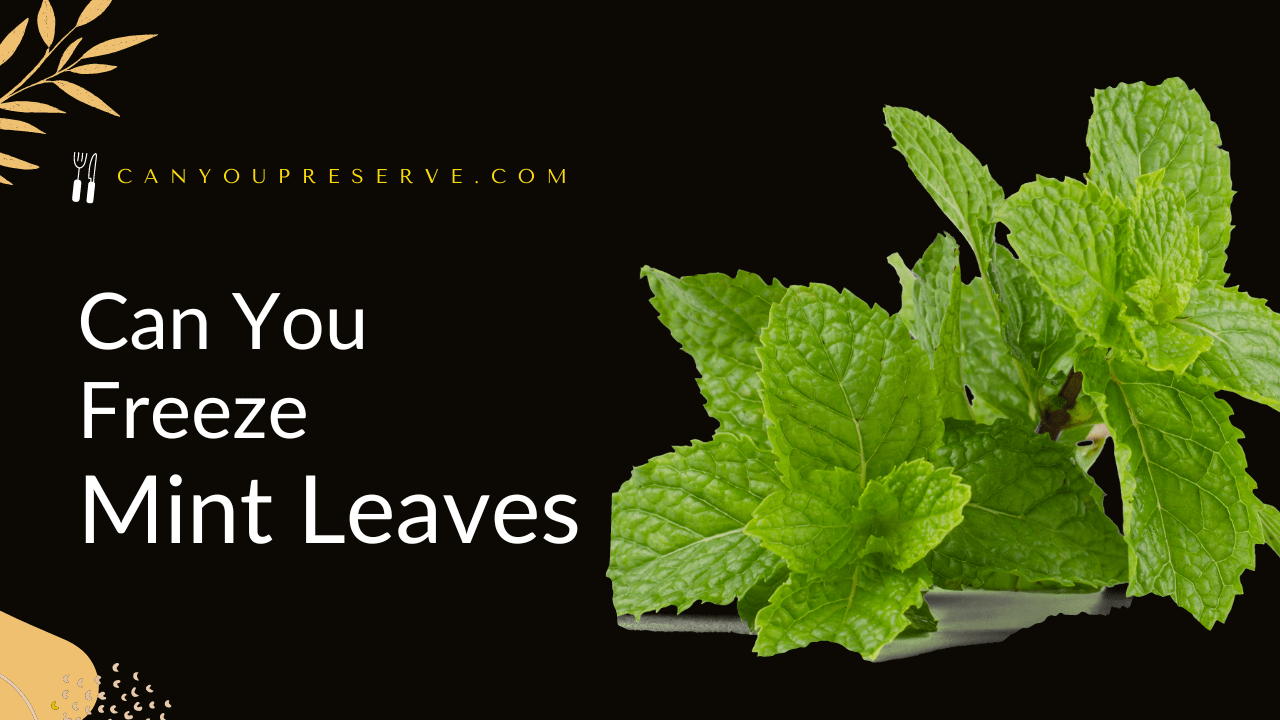 Can You Freeze Mint Leaves