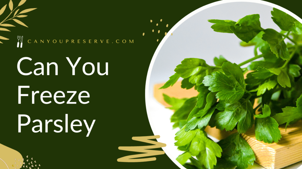 Can You Freeze Parsley? Comforting Ways To Freeze & Store Parsley Can You Preserve
