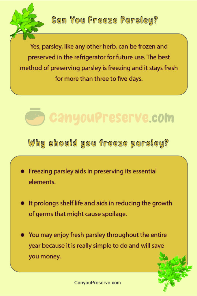 Can You Freeze Parsley? Easy Ways Of Freezing Parsley How To Thaw