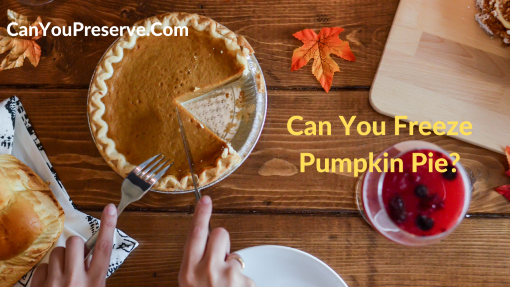 Can You Freeze Pumpkin Pie Here’s How To Freeze Pumpkin Pie? Can You Preserve