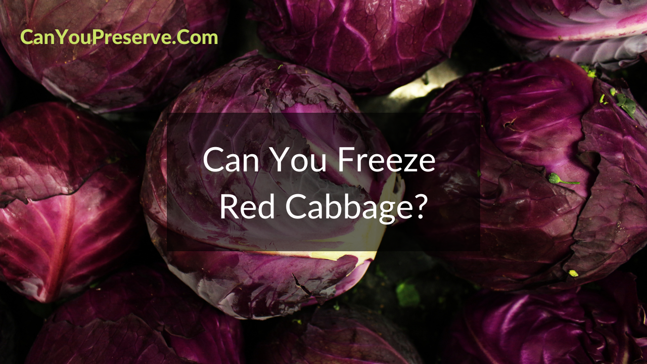 Can You Freeze Red Cabbage