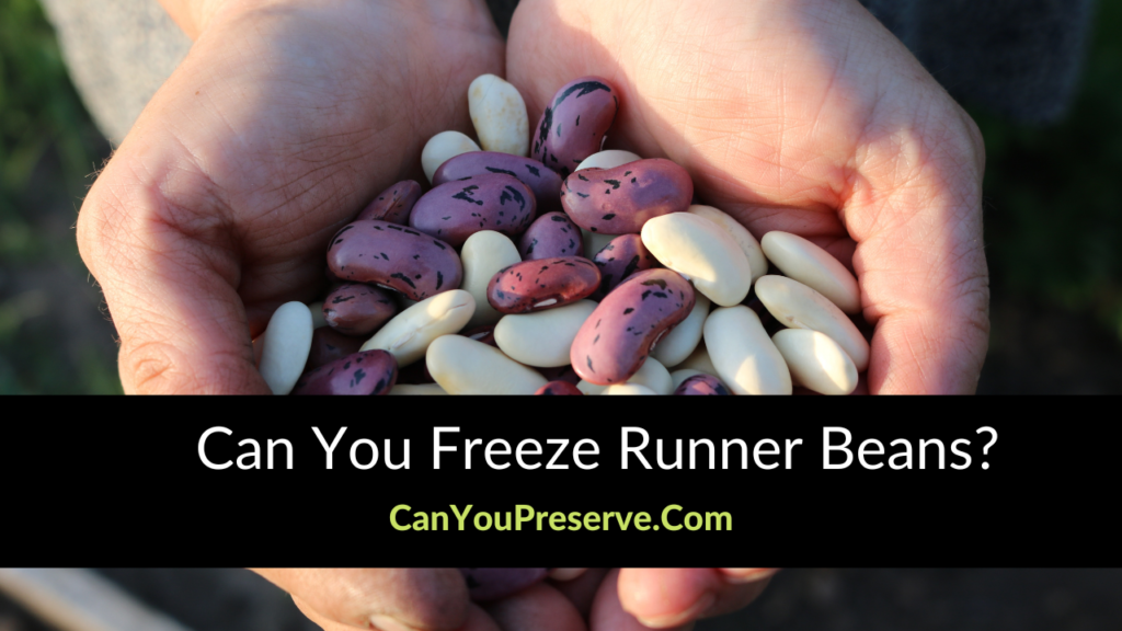 Can You Freeze Runner Beans Here’s How To Freeze Runner Beans With