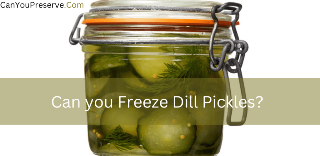 Can you Freeze Dill Pickles? How Long Can You Freeze Dill Pickles