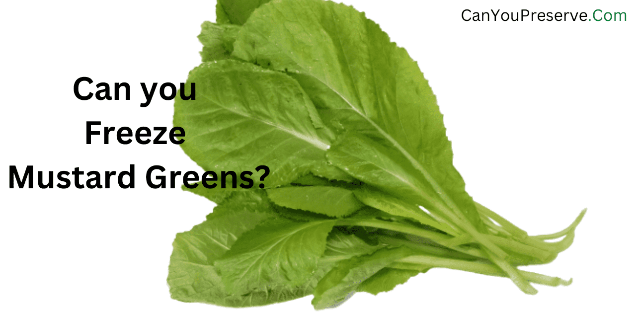 Can you Freeze Mustard Greens