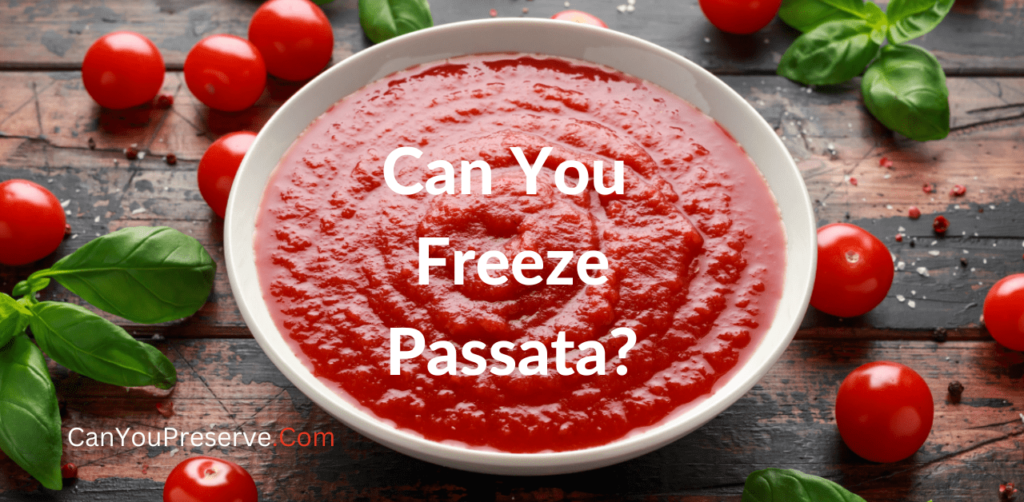 Can You Freeze Passata? What is the Best Way To Freeze Leftover