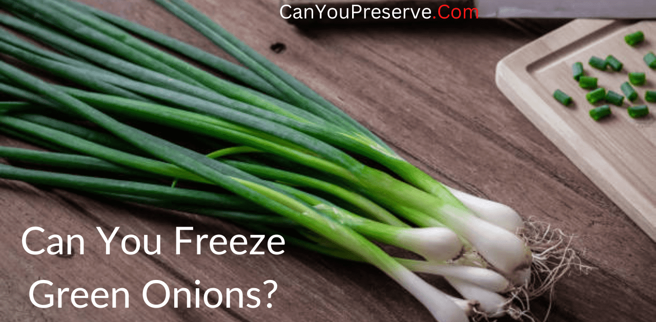 can you freeze green onions