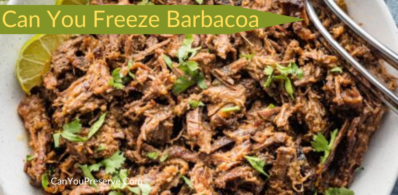 Can You Freeze Barbacoa