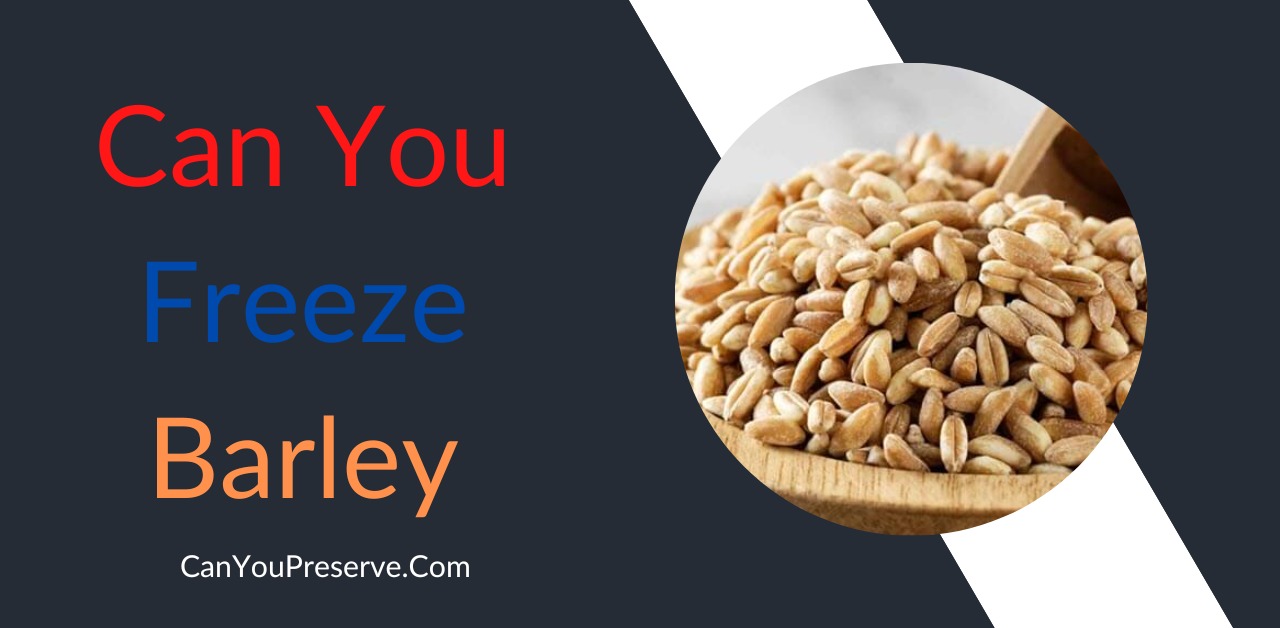 Can You Freeze Barley