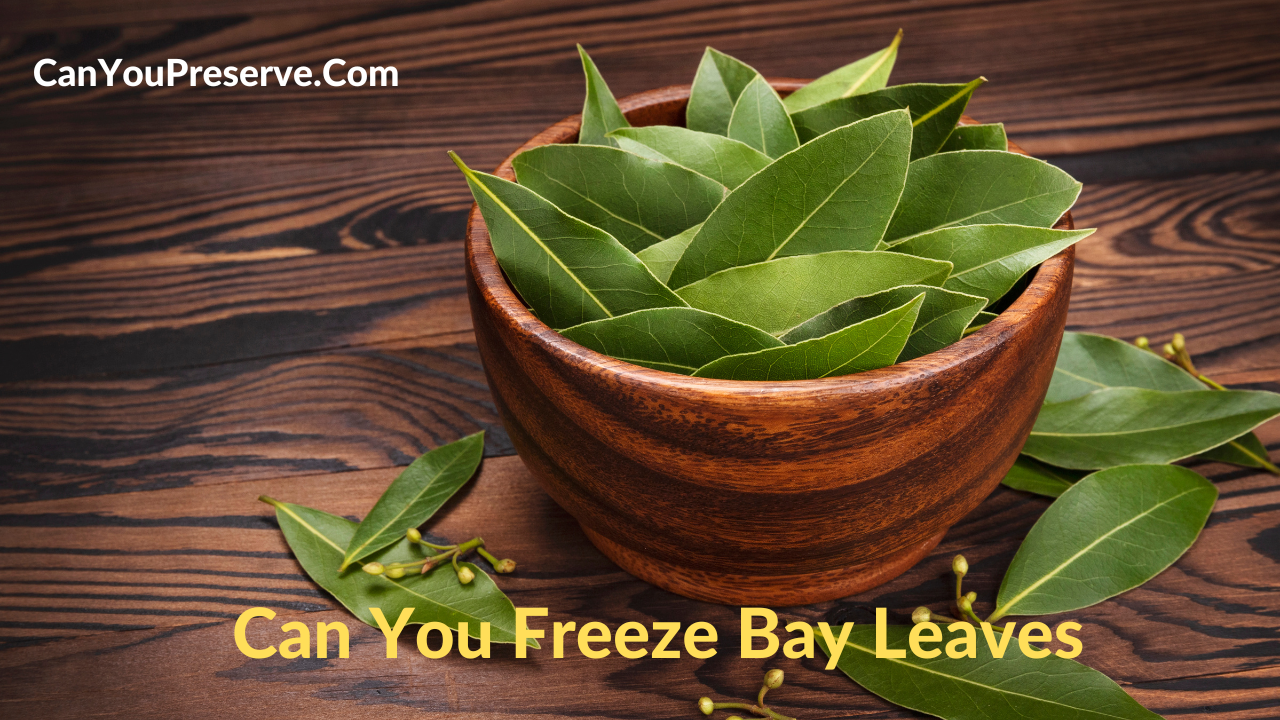 Can You Freeze Bay Leaves