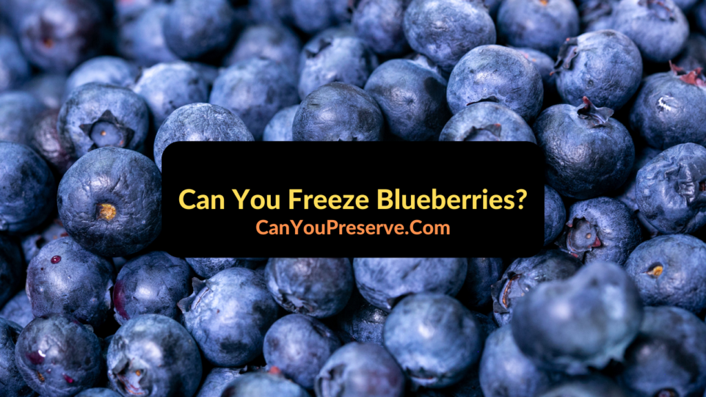 Can You Freeze Blueberries Explained Easy Methods To Freeze