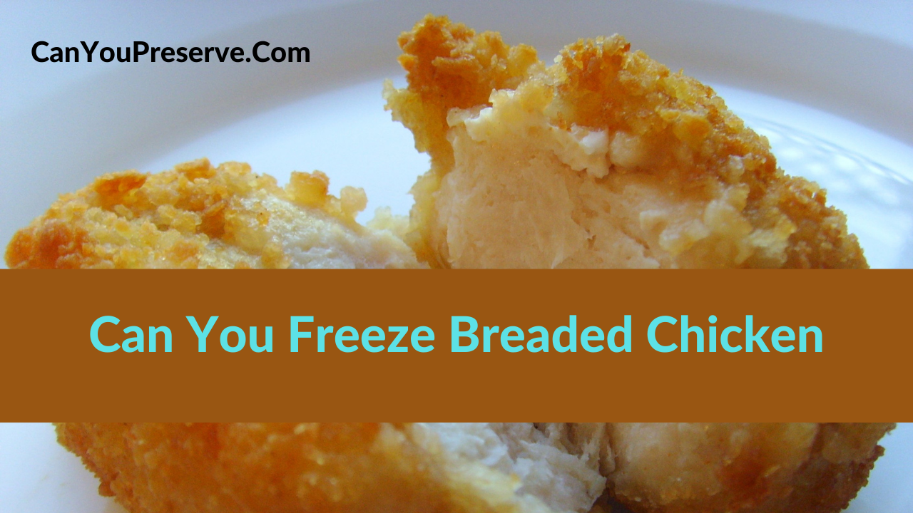 Can You Freeze Breaded Chicken