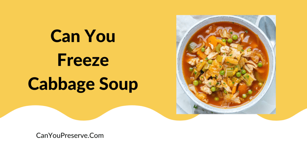 Can You Freeze Cabbage Soup? Know The Freezing, Defrosting Process