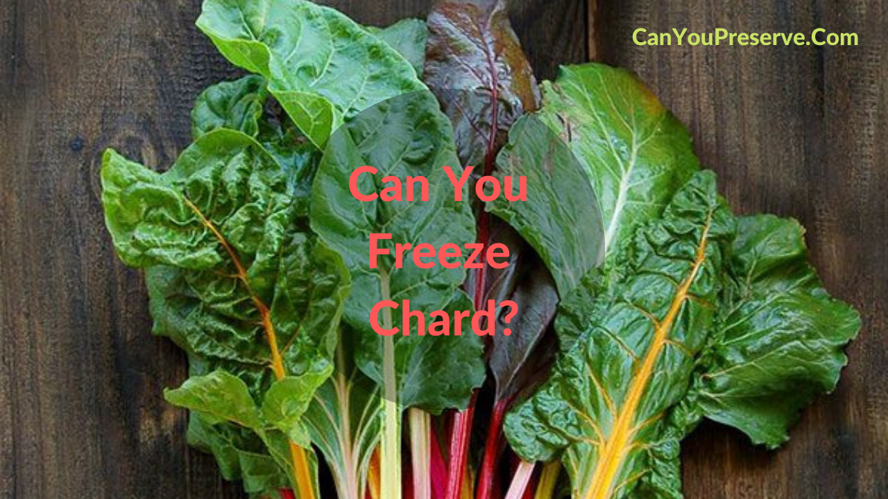 Can You Freeze Chard